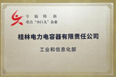 國家級“專精特新”重點(diǎn)小巨人企業(yè)